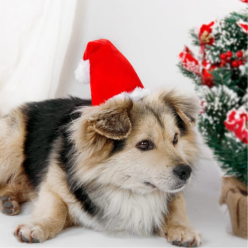 Wiz BBQT Adjustable 3D Christmas Santa Hat for Dogs Cats (Small) - Image 2